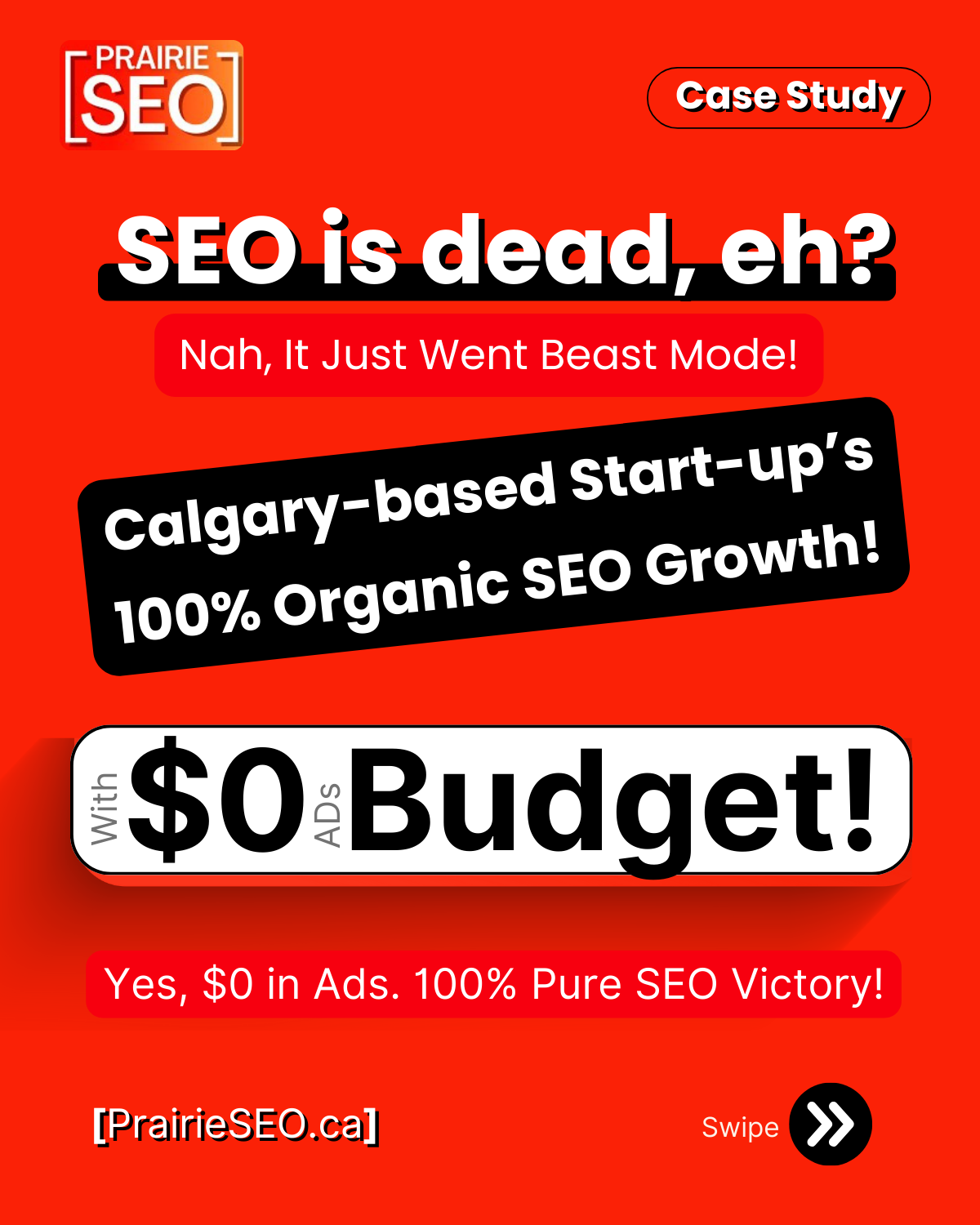 Calgary SEO Case Study 1